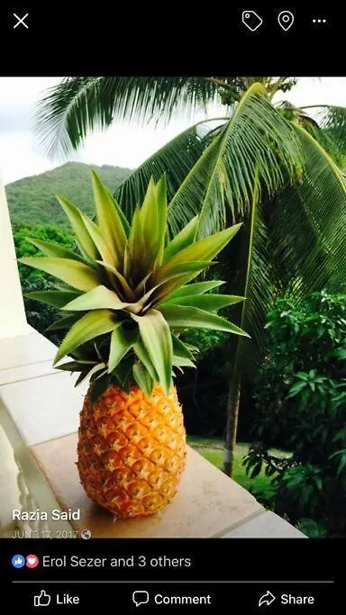 Villa Colibri Mon Repos Saint Lucia
